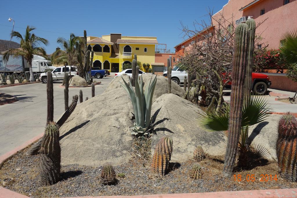 卡波圣卢卡斯 Oasis Los Cabos酒店 外观 照片